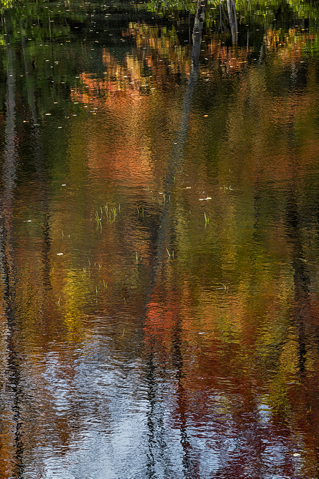 Autumn Reflections II