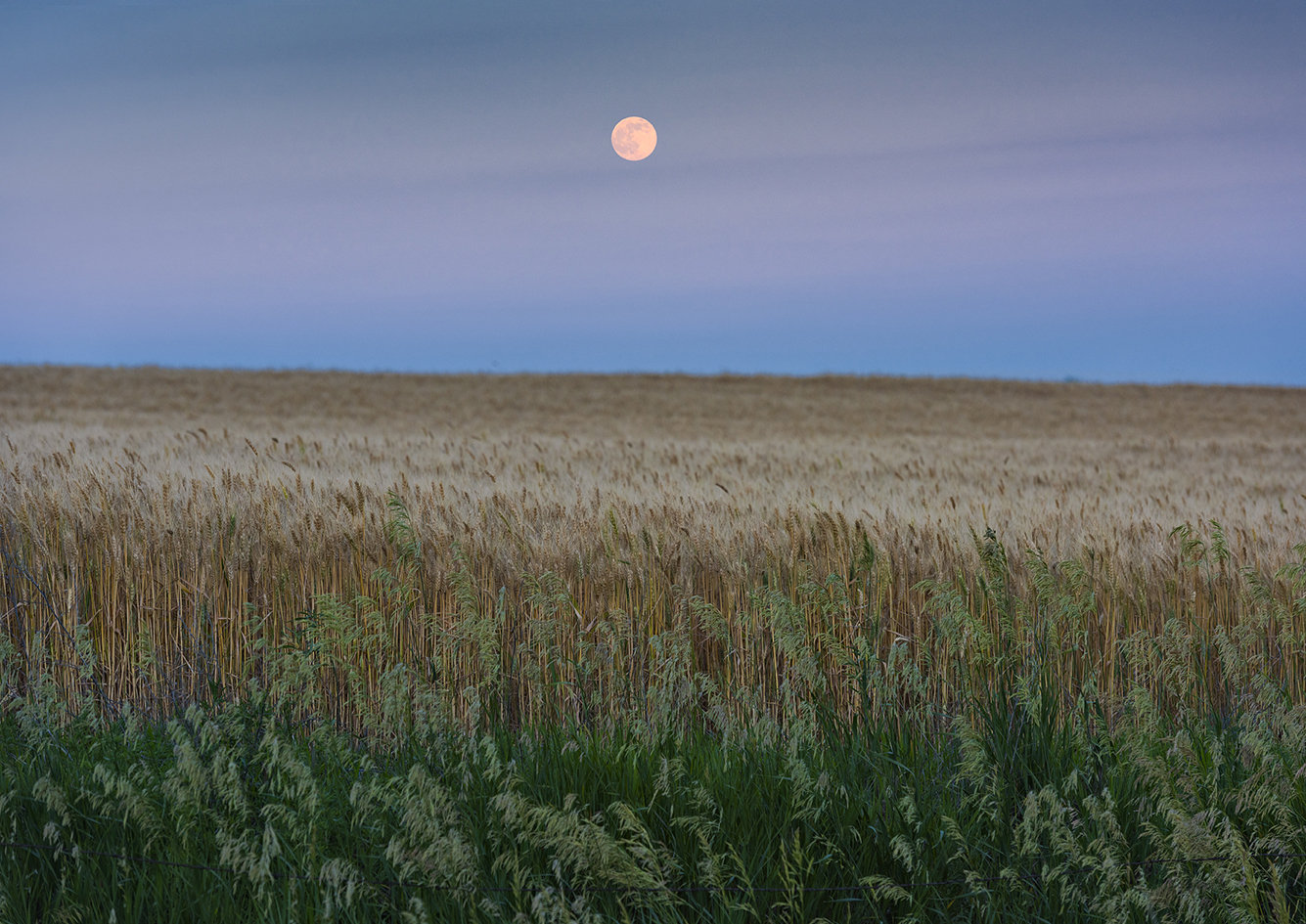 Moon Over Wheaties